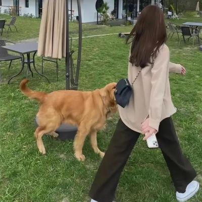 狼拳